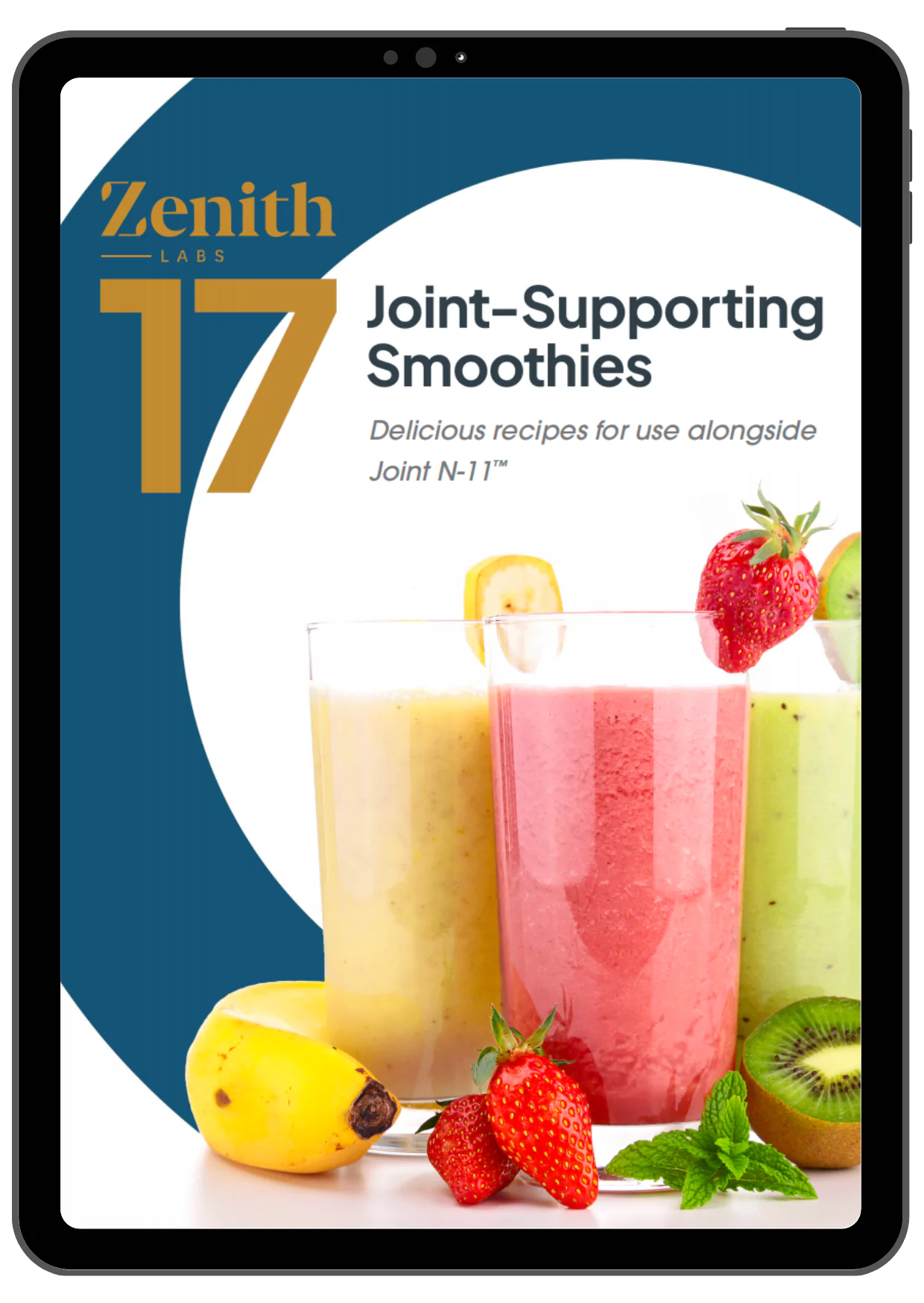 Joint N-11® Bonus Gift #1 – Free Health Guide Included